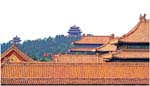 015. More Forbidden City rooftops