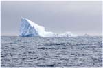 015. Our first iceberg