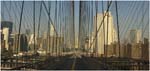029. The Brooklyn Bridge