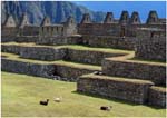 027. Machu Picchu central plaza with llamas