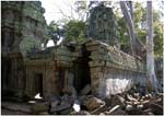 018. Ta Prohm tree and building