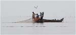 004. Another fishing group on Tonie Sap Lake