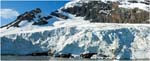 102. Muhlbacher glacier