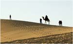 031. Sahara sand dunes