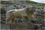 088. Lion at Cyrene