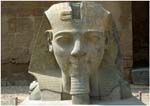008. Head of Ramses II at Luxor