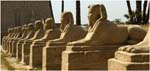 016. The Avenue of Sphinxes at Luxor