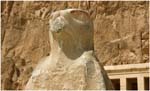 030. Figure of Horus at Hatshepsut Temple