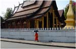 038. Monk in Luang Prabang