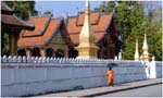 039. Monk in Luang Prabang