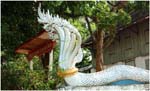 053. Nagas at Wat Maha Thai