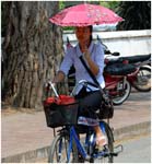 056. Lady with umbrella riding bicycle