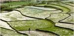 018. Rice terraces near the Na River