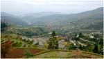 078. Rice terraces above Zhaoxing