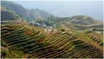 100. Another view of the Ping'an terraces