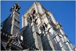 011. Notre Dame gargoyles