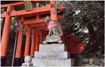 037.Fushimi Inari gates