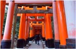 038.Fushinimi Inari gates