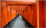 039.Torii Gates Fushimii Inari