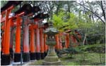040.Torii Gates atFushimi Inari shrine Crop