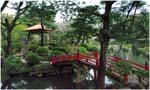 053.Shukkei-en garden Hiroshima