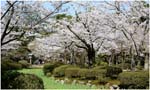 066.Kenroku-en gardens