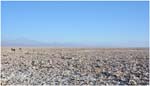 013. Atacama Salt Flats